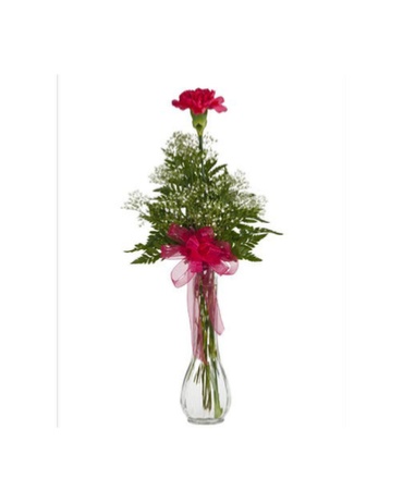 1 Carnation Vase