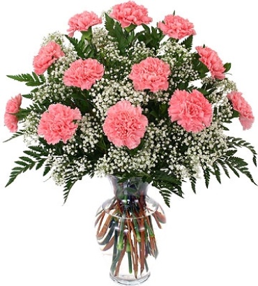 12 Carnation Vase
