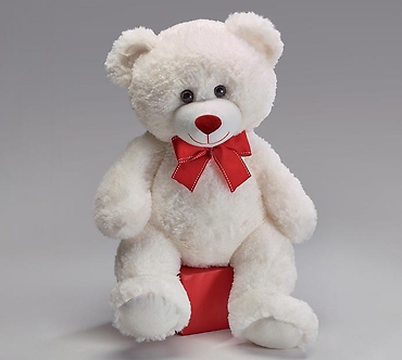 15\" WHITE VALENTINE BEAR