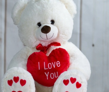 I Love You  White Bear Heart Paws