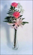 2 Carnation Vase